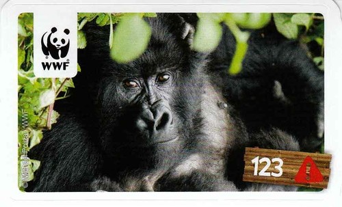Rewe wwf tier - rewe, abenteuer