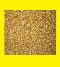 5 kg Mais Futtermais Körnermais  NICHT GENMANIPULIERT!! Premium gereinigt  Mais