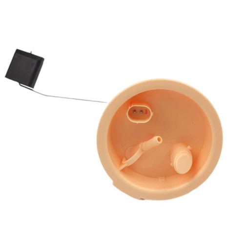Kraftstoffstandsensor