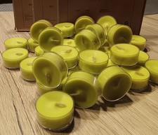 Partylite 36 Teelichter  Gezuckerte Birne/Sugared Pears - RAR Weihnachten X-mas*