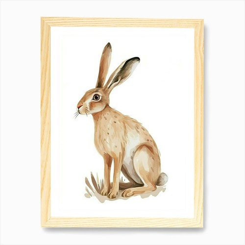 Belgischer hase kinder - belgischer,
