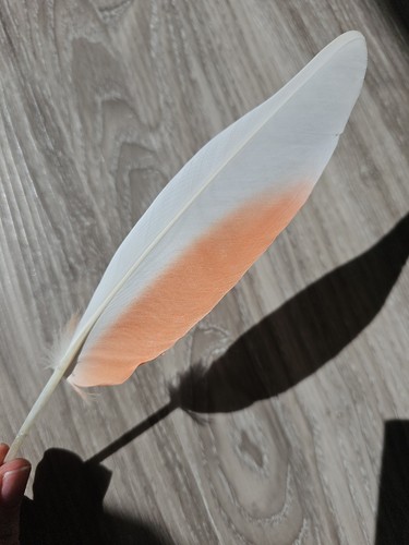 5cm weiß - 21.5cm, 🤍🧡