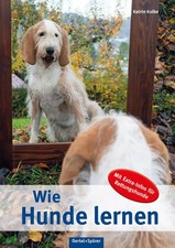 Wie Hunde lernen | Mit