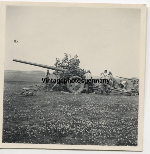 Z6741 foto russland - foto, wh