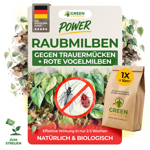 Raubmilben gegen trauermücken - raubmilben,