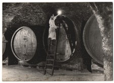 Fotografie Schostal, Ansicht