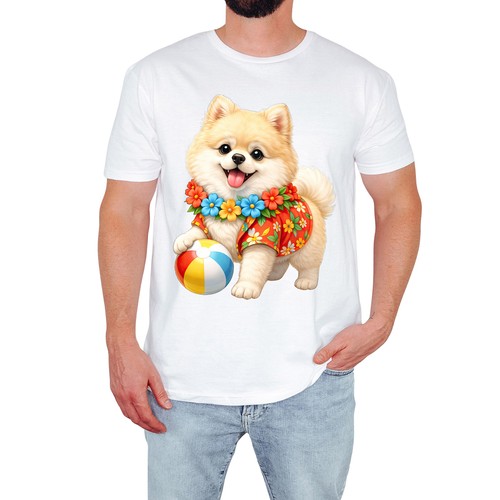 Süßes pomeranian herren - süßes,