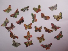 WUNDERSCHÖN ALT SELTEN vor / um 1900 SCHMETTERLINGE je Bild ca. 3 cm breit