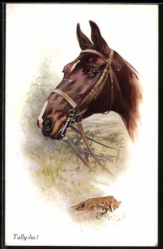 Künstler tally pferd - künstler-ak, tally-ho!,