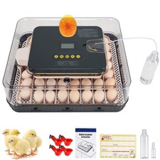 Inkubator Brutkasten