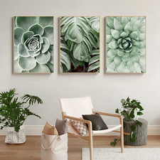 CULASIGN 3Er Set Premium