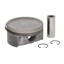 Kolben NE 130820000321