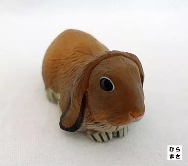 Lop eared rabbit brown choco - lop-eared,