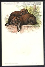 Künstler-AK Ein Paar