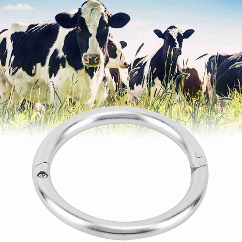Nasenring aus edelstahl - nasenring,