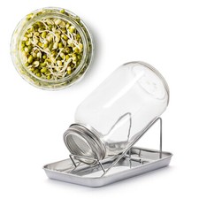 Sprossenglas Keimglas Anzucht