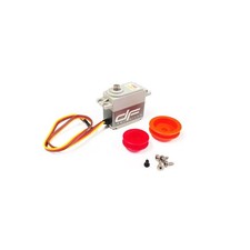 Dragon Force 65 2024