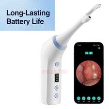 Visible tonsil stone - visible,