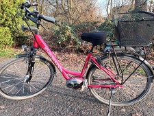 E Bike Damen Gepia Reptila