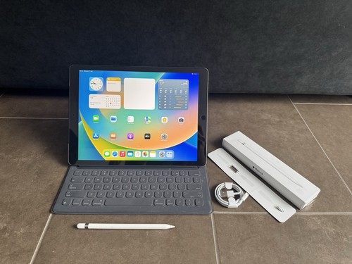 Apple ipad pro 256gb - ipad,
