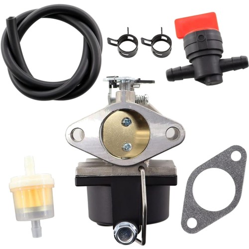 Rasenmäher vergaser kit - vergaser, für