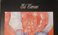 GAY VINTAGE BILDBAND -COMIC