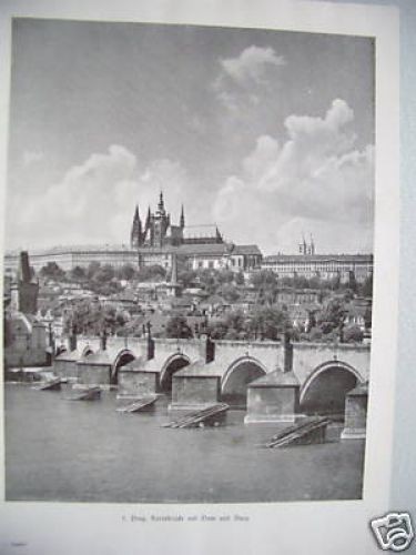 Peter parler baukünstler - peter,