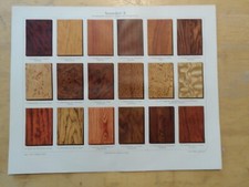 Genuine(1908) Chromolithograph