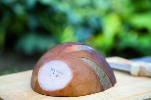 Naturdarm schweinemagen frisch - schweinemagen,