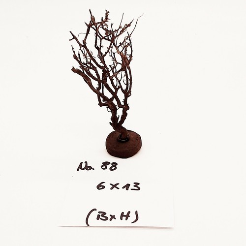 Nano garnelen baum dunkel - dunkel, mit