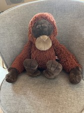 Nici orang utan kieran affe - nici,