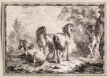 Pferdehirt Pferd Pastorale