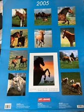 Kalender Pferd 2005 xxl * 12 Pferdeposter *