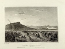 Schloss johannisberg rhein - johannisberg,