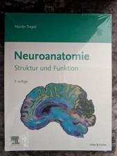 Neuroanatomie Struktur und