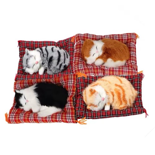 Süße schlafende katze - katze, –
