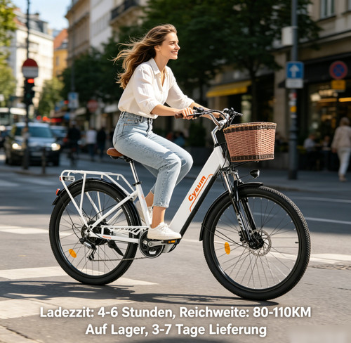 Zoll citybike bike - e-bike, 250w