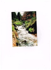 ANSICHTSKARTE- FOTOKARTE- CARLSFELD-BACHLANDSCHAFT