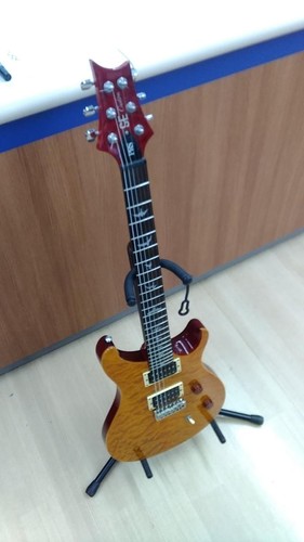 Paul reed smith gitarre se - paul,