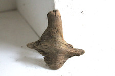 Schwemmholz Treibholz Skulptur