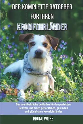 Der komplette ratgeber - der,