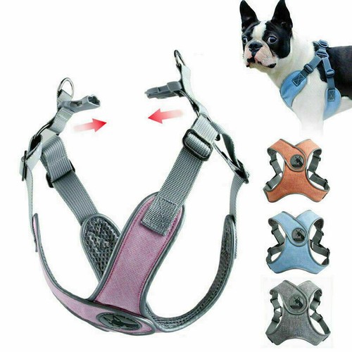 Hundegeschirr anti zug - anti,
