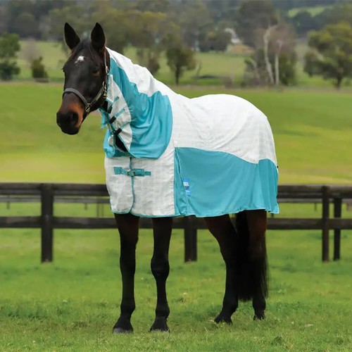 Weatherbeeta kool coat - kool, cotton