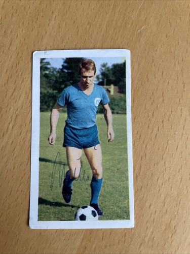 Sicker bundesliga asse 1966 - bundesliga, 1966/67