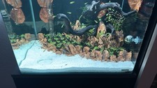 Dennerle Nano Scaper's Tank