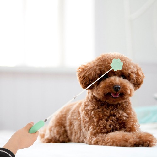 Haustier hundeausbildung pet - haustier, -hundeausbildung