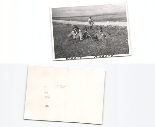 Amerikanische - (n782400),
