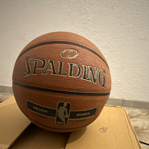 Spalding silver series - silver,