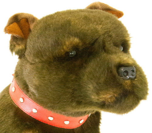 Bocchetta staffy - ~❤️~bocchetta,