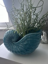 Muschel Deko Blumentopf